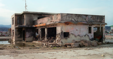 AS_ZerstrtesHausKopie