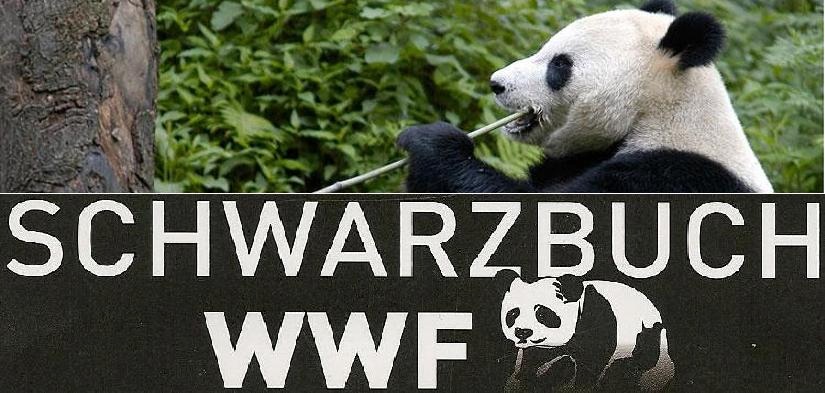 Schwarzbuch_WWF_Panda-1