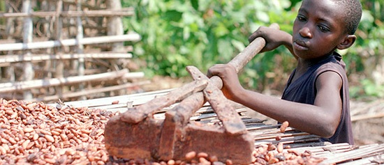 Kinderarbeit_Westafrika_Kakao