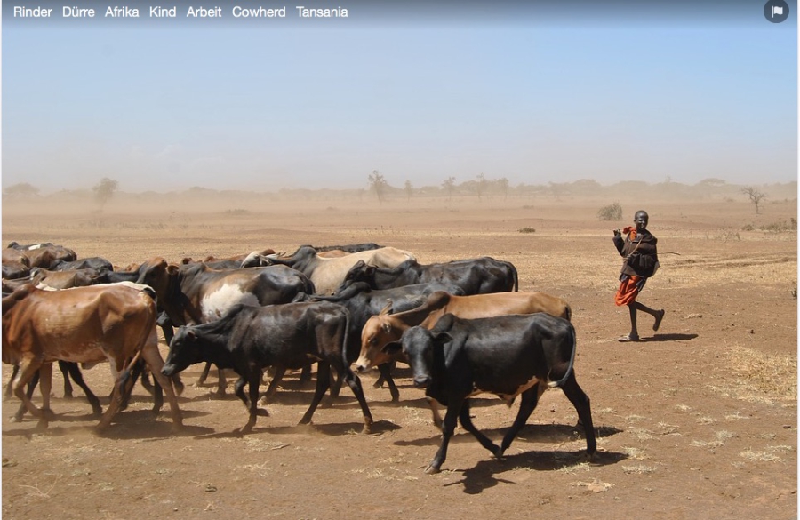 trockenheitafrika