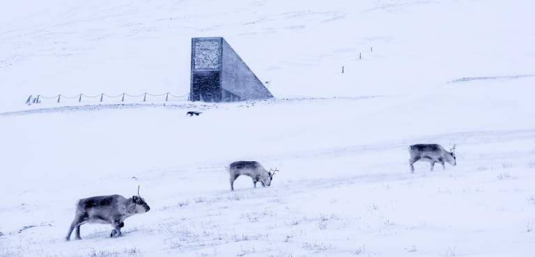 SeedVaultSvalbard