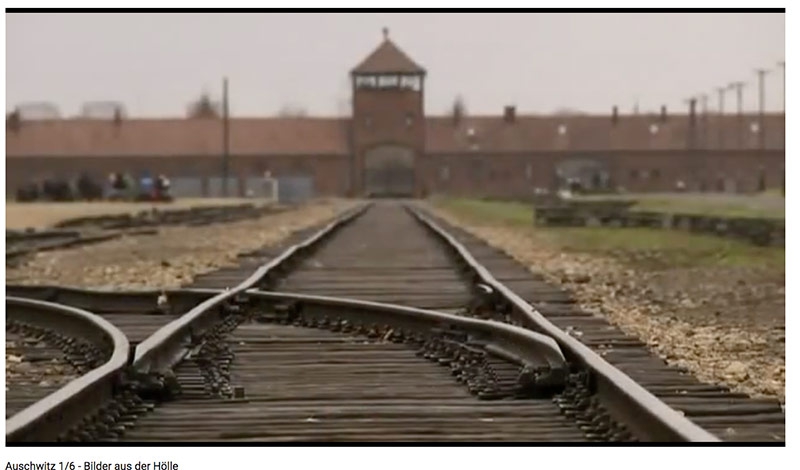Auschwitz_Web