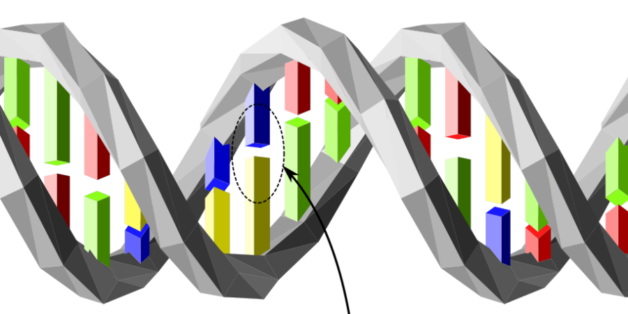 DNAAnalyse_Wikipedia