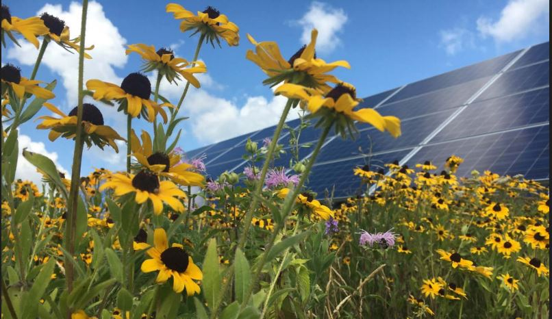 NREL_solarfarm