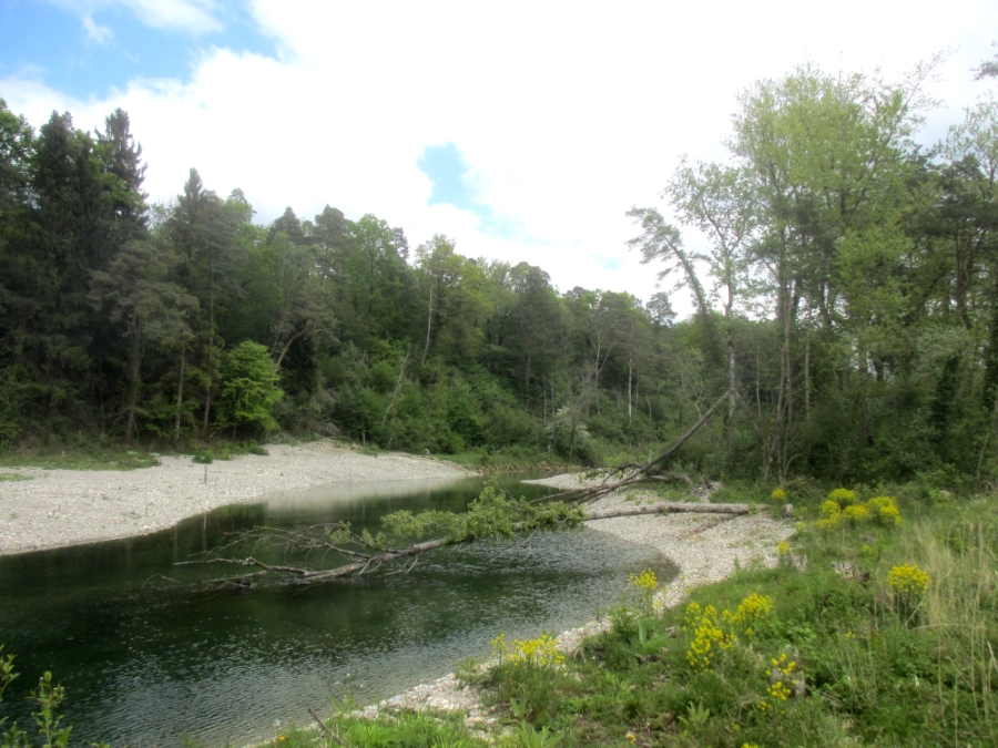 BildAufwertungThurauen