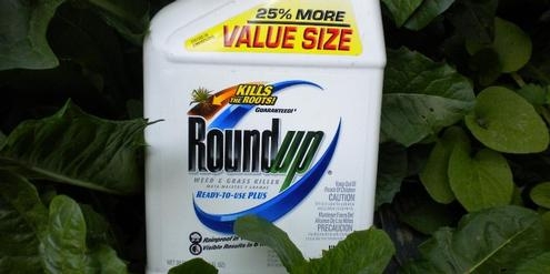 Roundup1