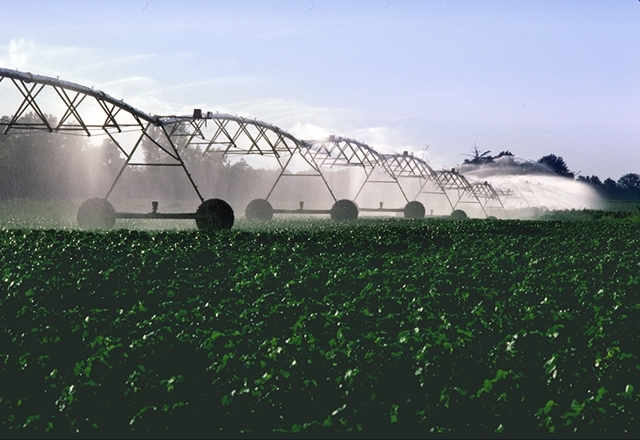 PivotIrrigationOnCotton