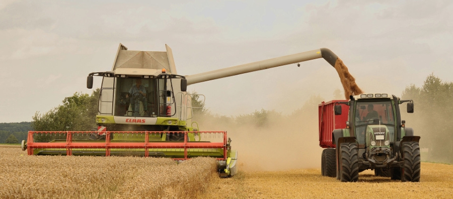 Unload_wheat_by_the_combine_Claas_Lexion_584