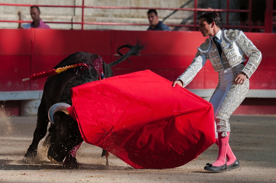 bullfight2012796_1280