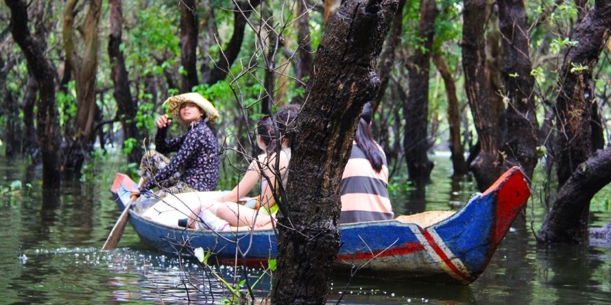 floating_forest_floating_forest_green_trees_beautiful_boat_tourists690280_jpgd