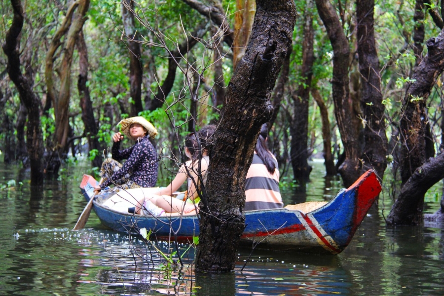 floating_forest_floating_forest_green_trees_beautiful_boat_tourists690280_jpgd