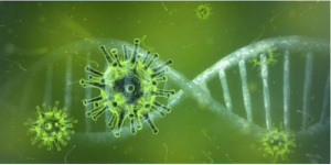 Coronavirus1