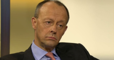 Friedrich Merz ARD