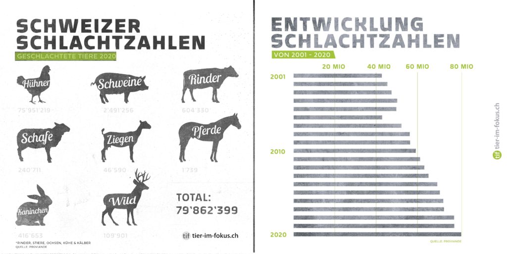 Schlachtzahlen Schweiz 2020