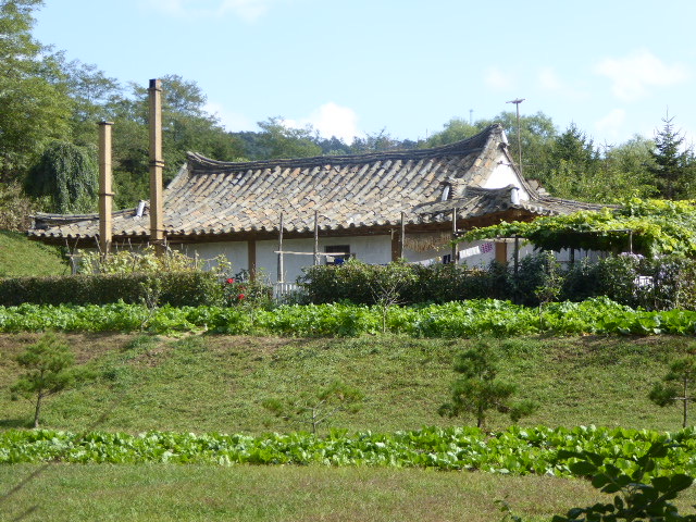 Nordkorea Bauernhause Gemüsegarten.R.B.