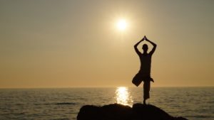 Yoga Vrischikasana - der Baum