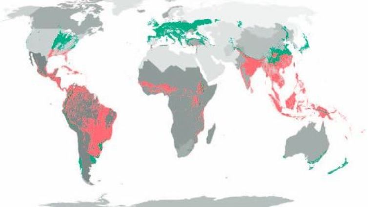 PIK ERW crop optimum global