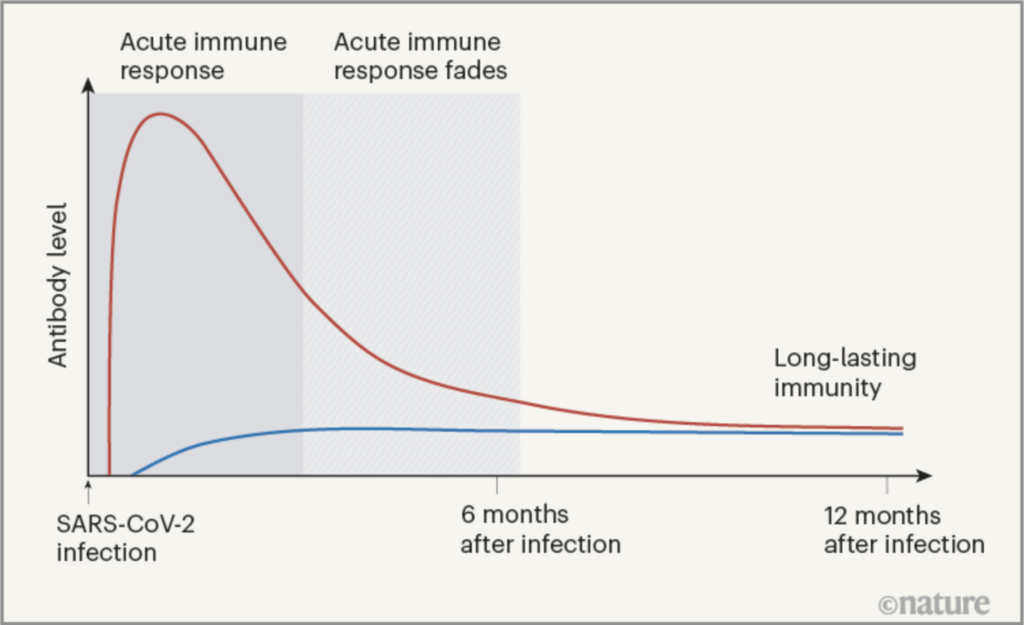 Autoimmunantowrt Nature