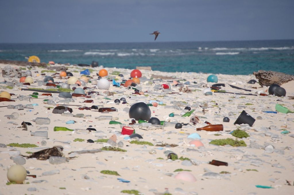 Beach_strewn_with_plastic_debris_(8080500982)