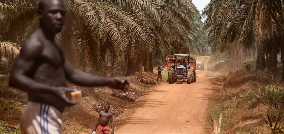 Agrarrohstoffhändler in Afrika