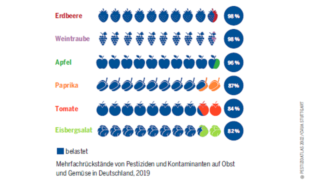 HBS Pestizidrückstände Obst_Gemüse D_2019