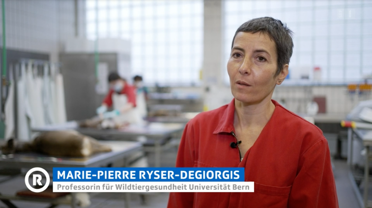 Marie-Pierre Ryser-Degiorgis.Rundschau