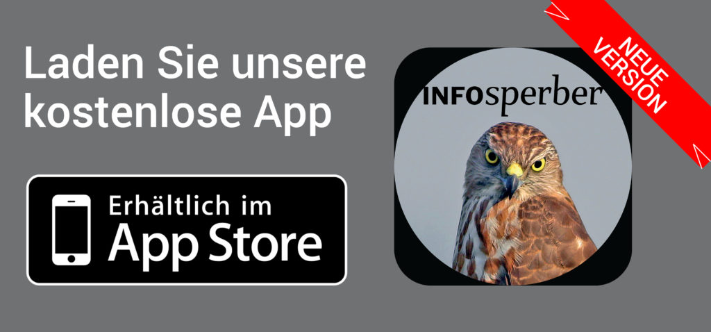 Ins.Apple.braun. Neue Version