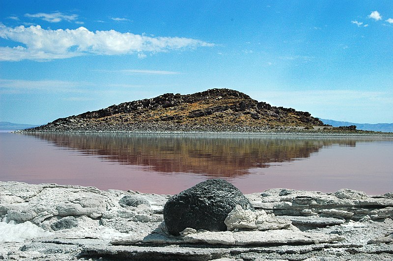 Cub_Island,_Great_Salt_Lake_-_panoramio
