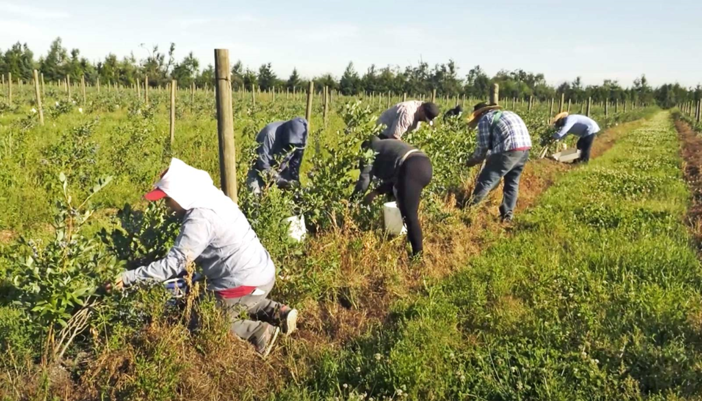 agricultural-workers_1600