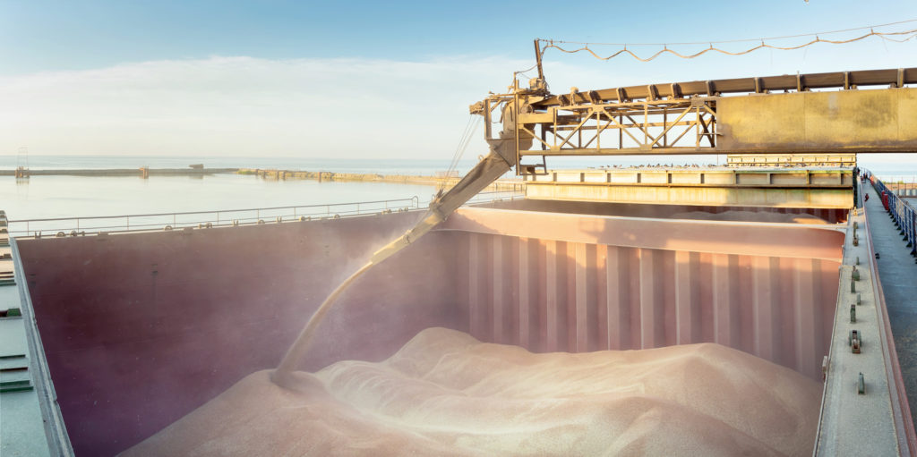 Loading of wheat on the ship