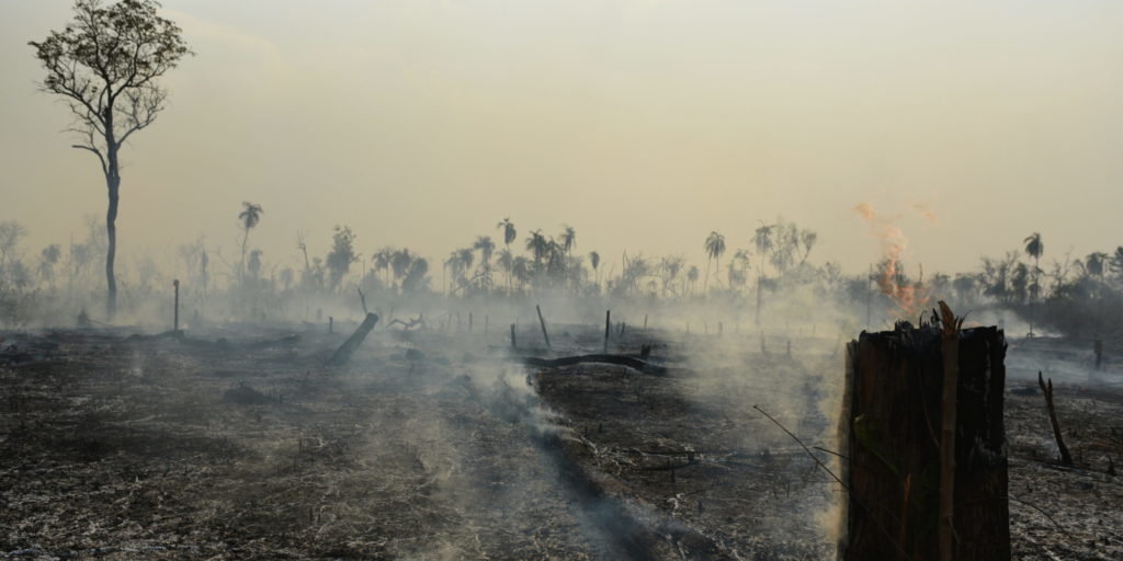 Terra_Indígena_Porquinhos,_Maranhão_(25758143568)