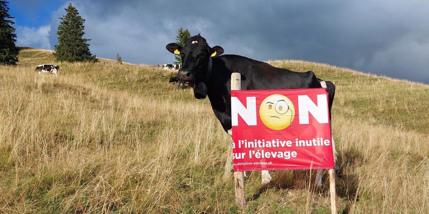 Bauern Plakat Initiative gegen Massentierhaltung Freiburgischer Bauernverband