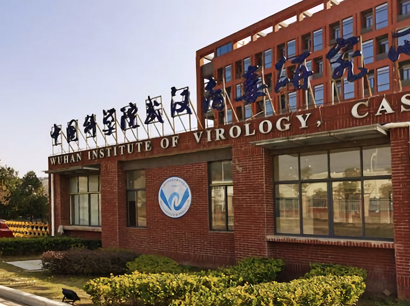 Virologie Institut Wuhan