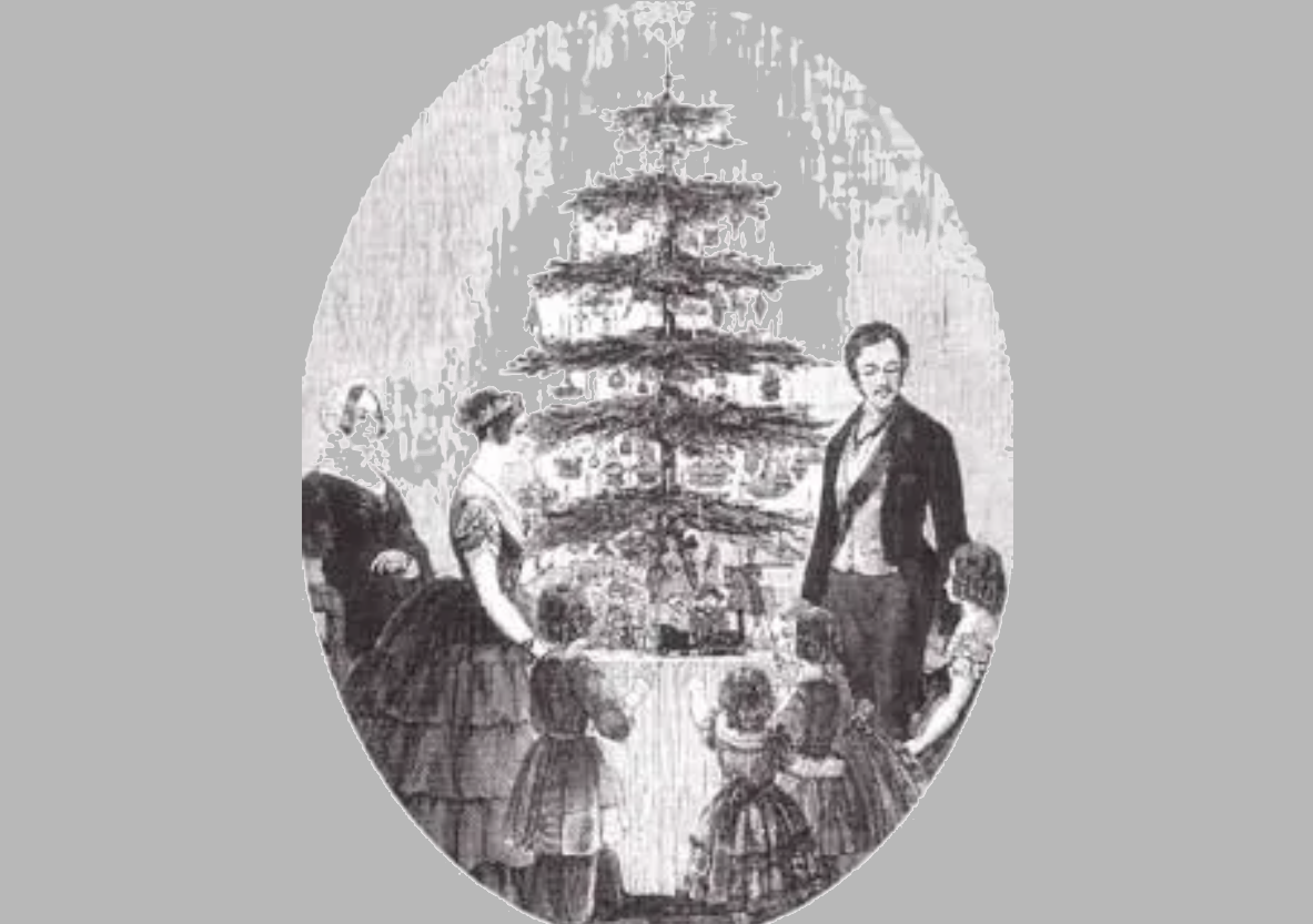 Victoria Weihnachtsbaum,Albert