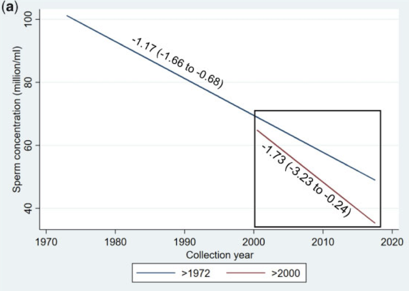 Spermien Rückgang weltweit