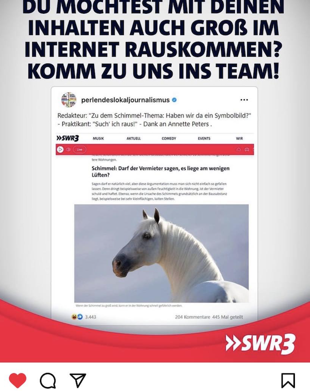 Perlen des Lokaljournalismus Schimmel SWR3