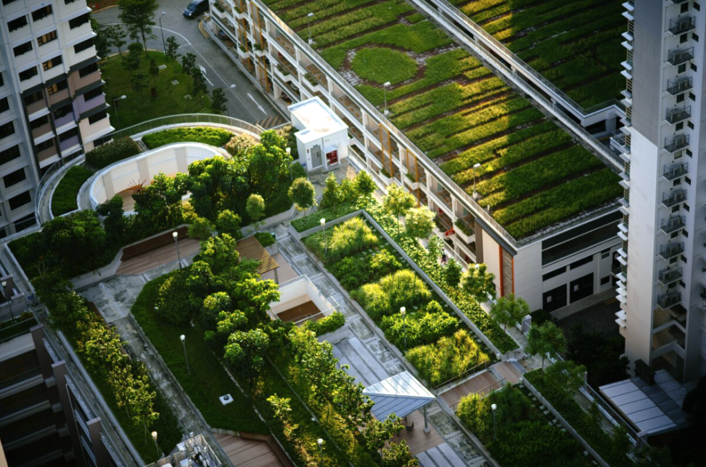Grüne Städte fördern das gesunde Aufwachsen und Leben in einer Grossstadt und können dem Klimawandel besser begegnen. Kompetenzzentrum Waldmedizin