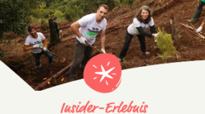 vögele reisen insider erlebnis azoren
