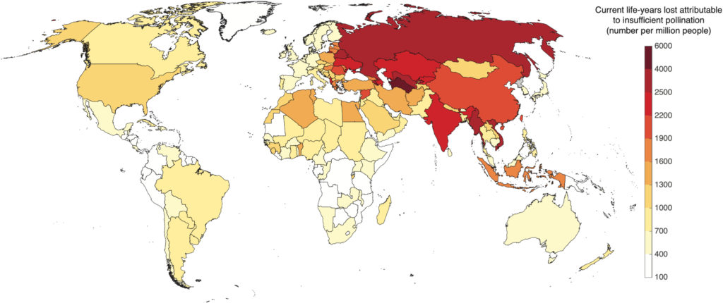 life years lost due to insufficient pollination world map