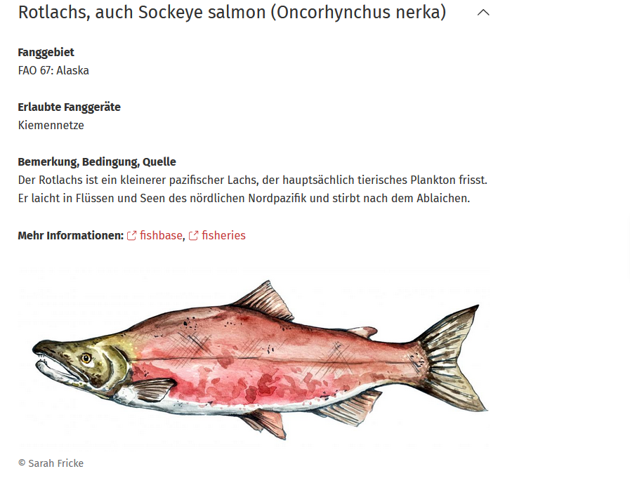 vzhh-gute-fische-liste-rotlachs