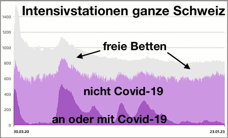 Auslastung Intensivstationen.IPS:BAG