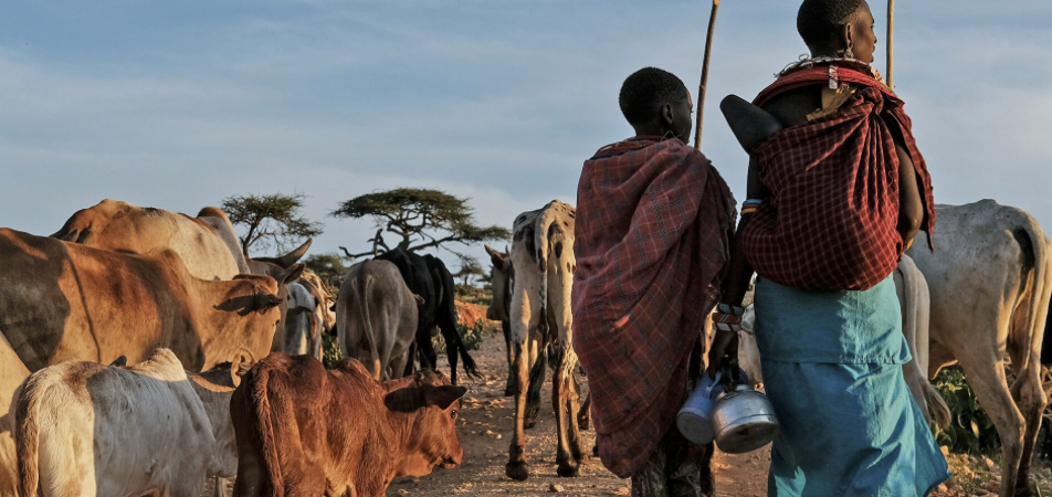 Herde auf einer Wanderroute in Kenia.mongobay