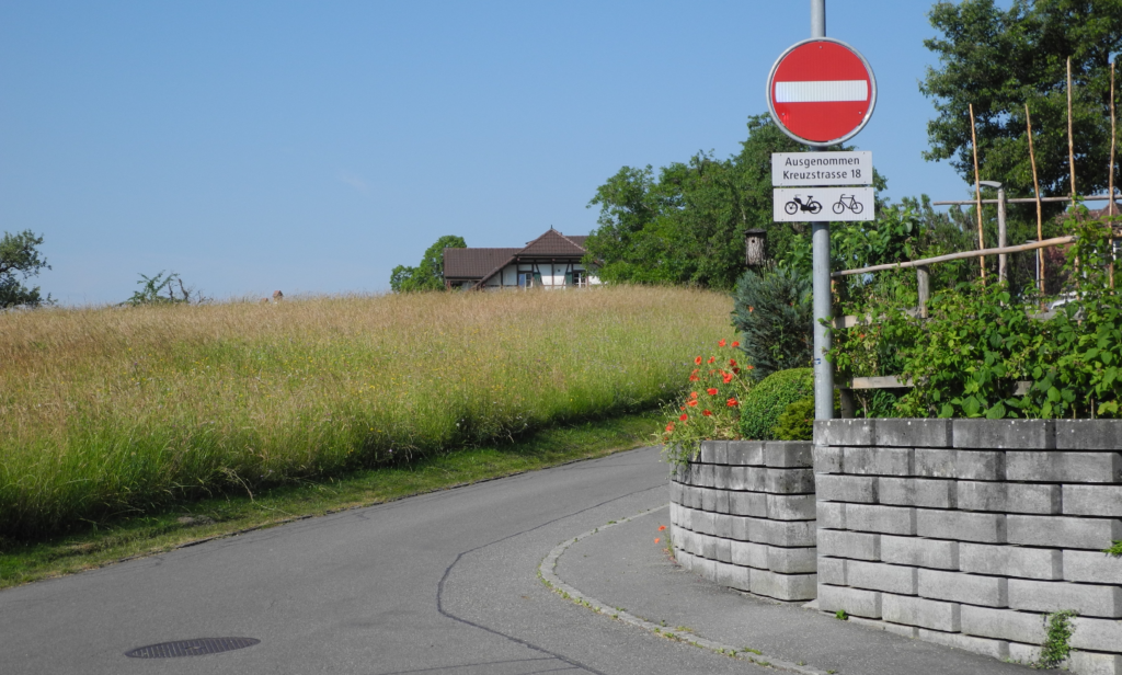 Signale Verkehr Zollikofen, Einbahnstrasse