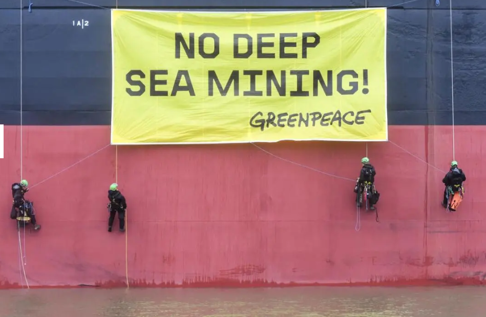 Manganknollen Tiefseeschürfen Greenpeace