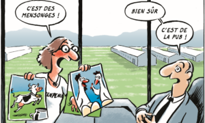 Landwirtschaft Tierhaltung Werbung