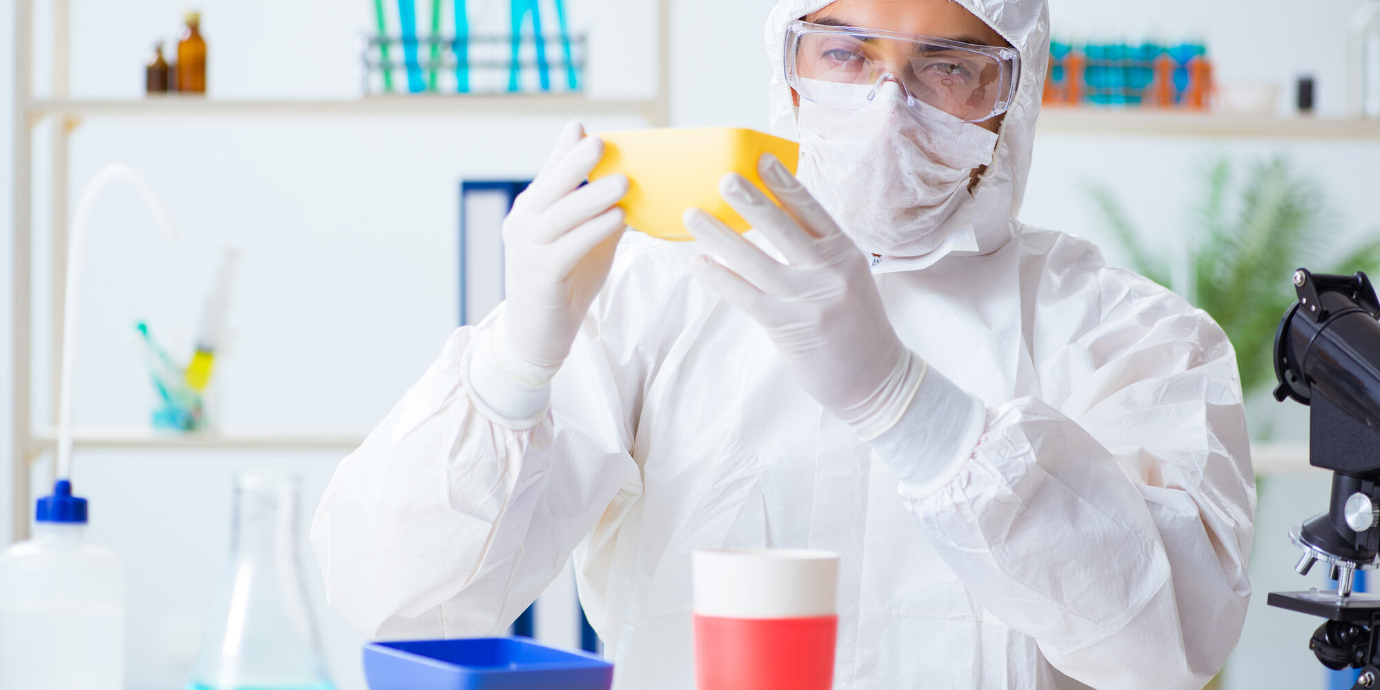 Chemist checking and testing plastic dishes