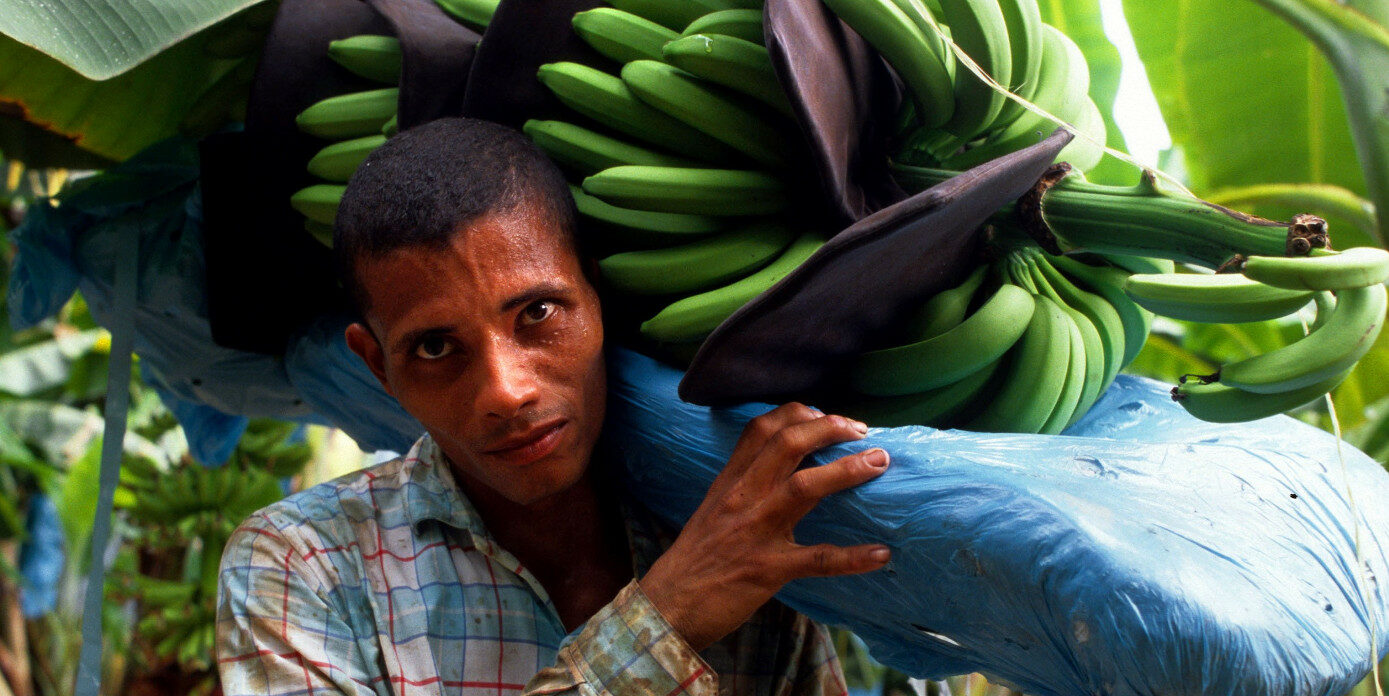 Kolumbien_Bananenplantage_Arbeiter_Adveniat_Escher