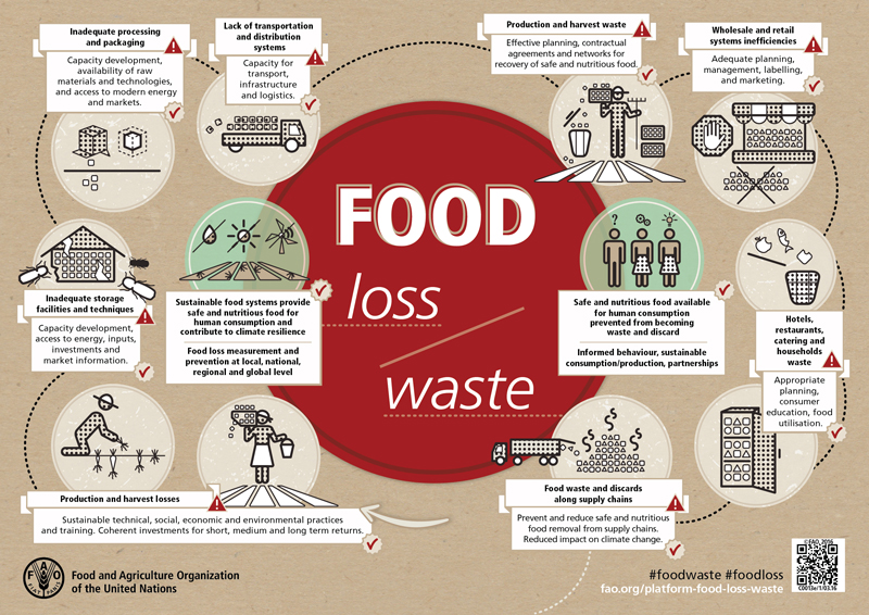 1_Food-loss-food-waste-en_800x566