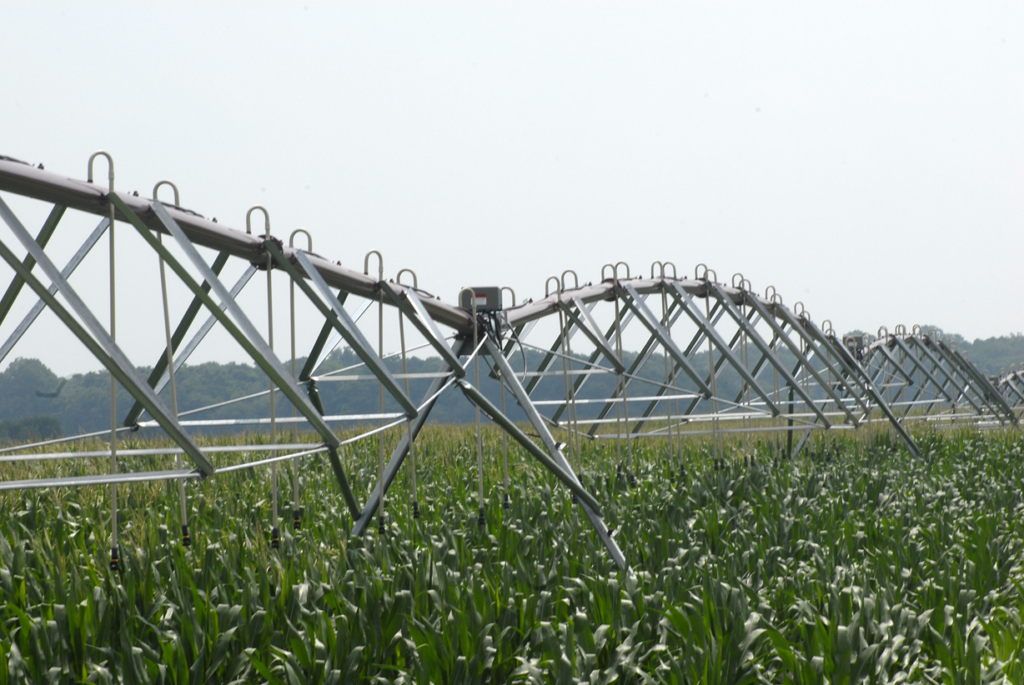 Bewässerungsanlage in einem Maisfeld