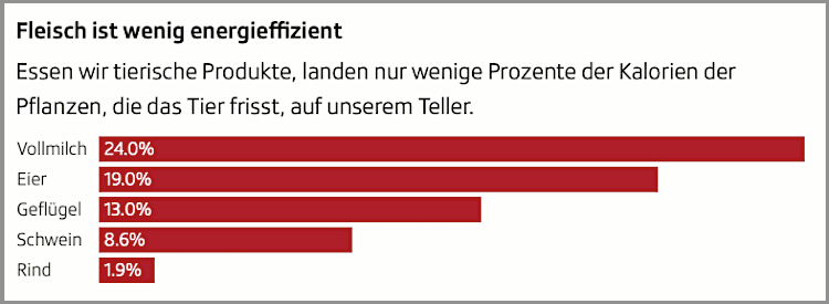 Fleisch vs Gemüse